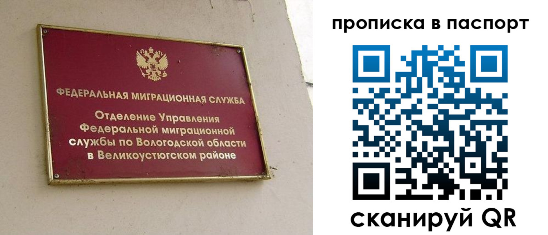 где прописаться в Сосновом Бору